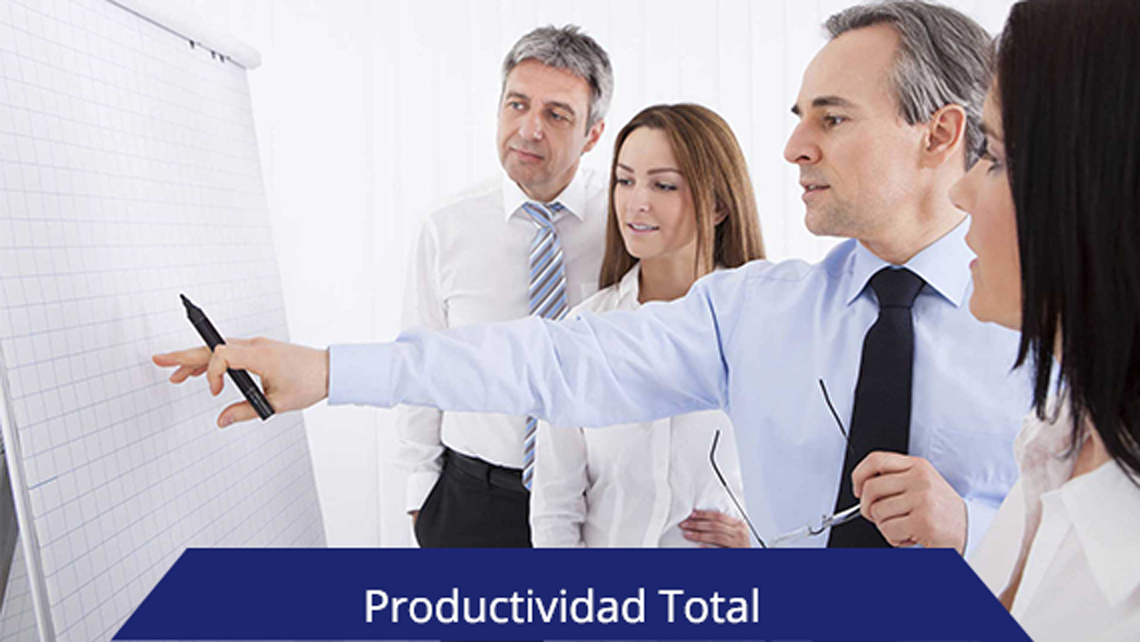 Productividad Total